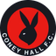 Coney Hall Youth